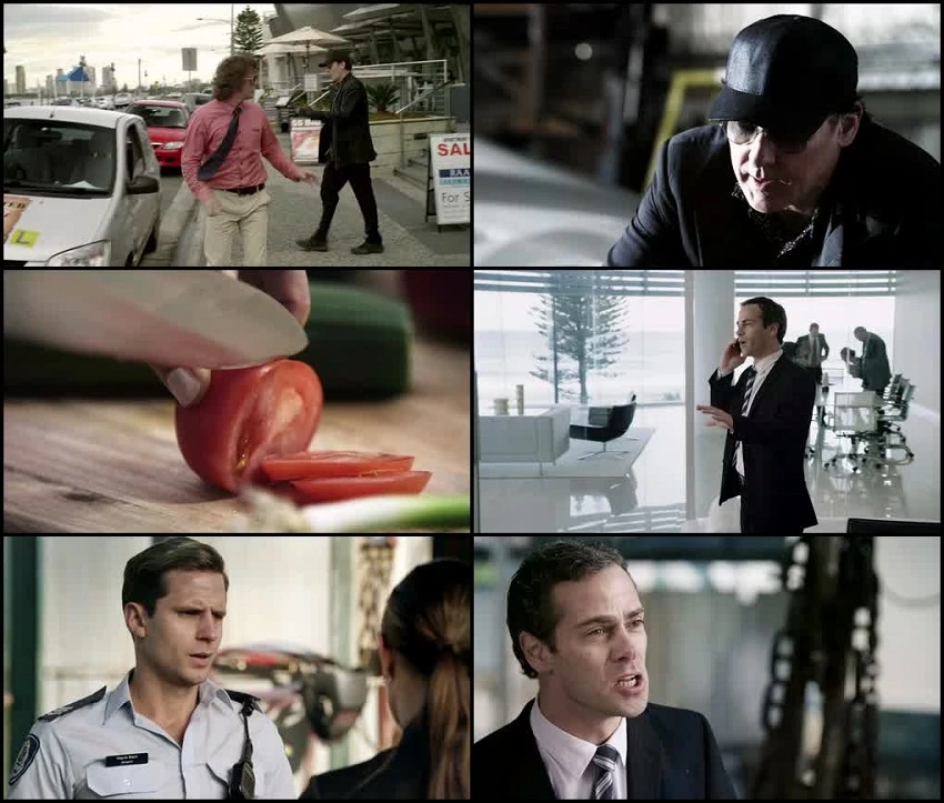 Download Drive Hard | 2014 | Dual Audio | Hindi-English | BluRay 480p 720p 1080p