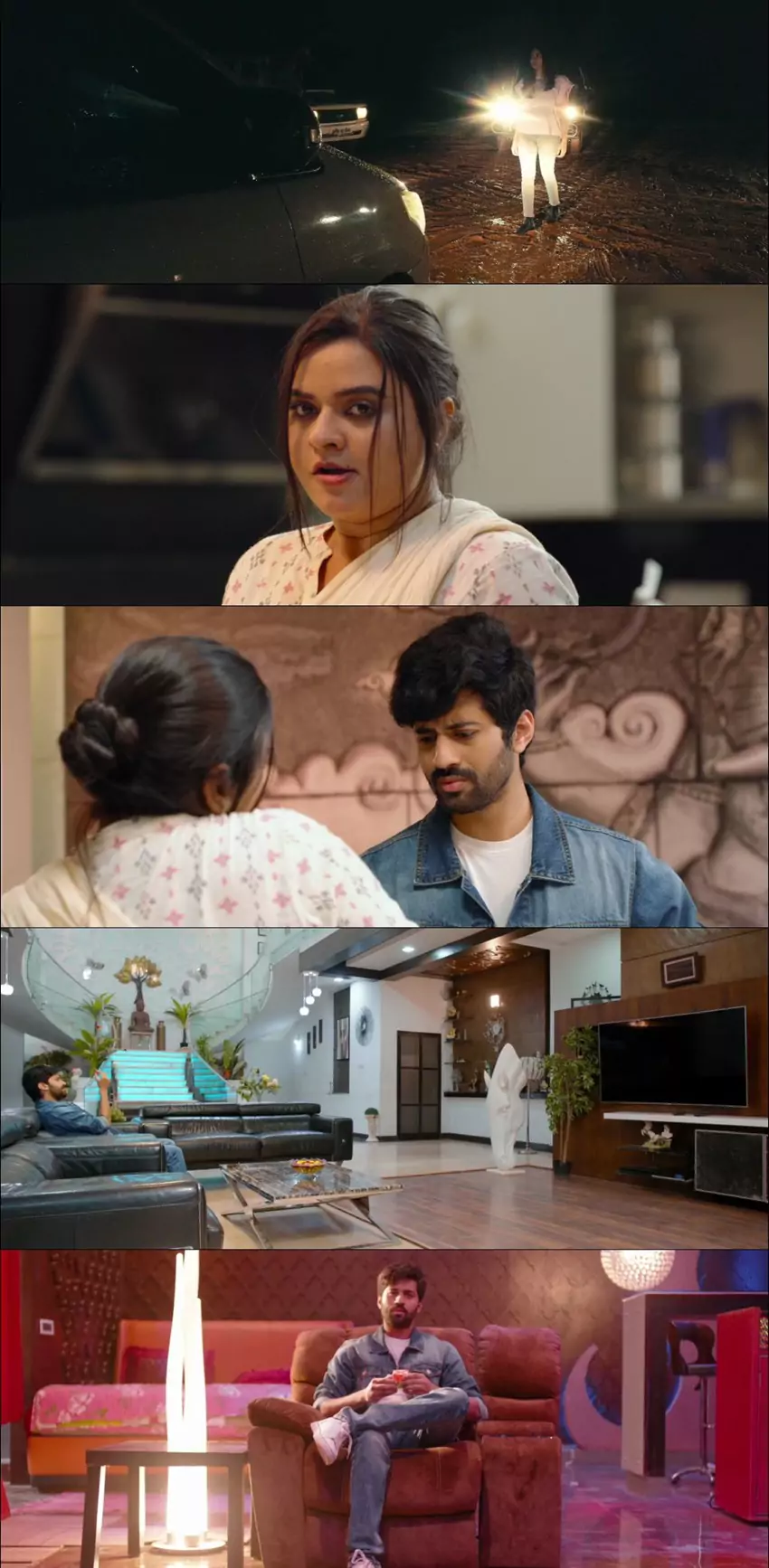 Download C.D: Criminal or Devil | 2024 | ORG. 2.0 Hindi + Telugu | Dual Audio | WEB-DL | Full Movie 480p 720p 1080p