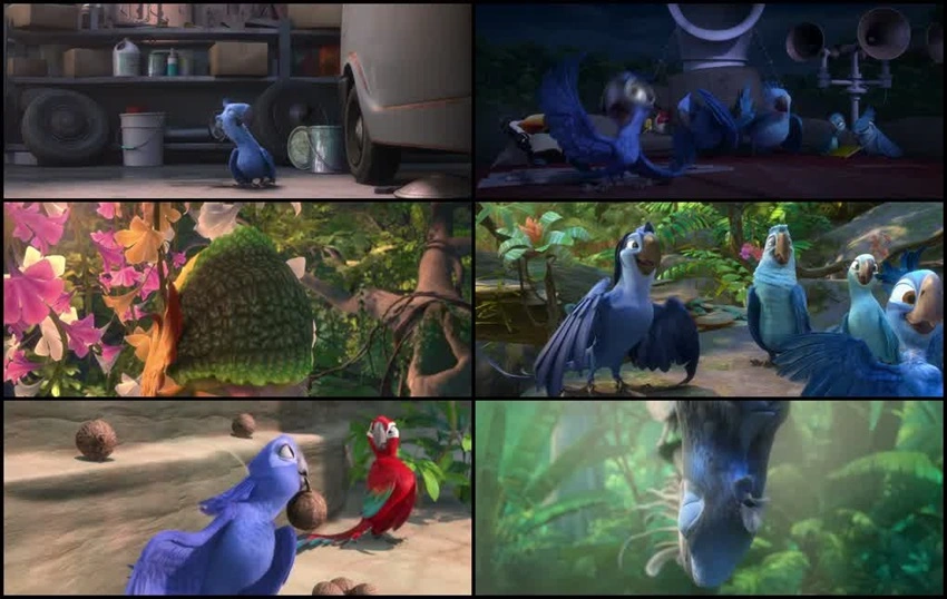 Download Rio 2 | 2014 | Hindi-English | Dual Audio | BluRay | Full Movie 480p 720p 1080p
